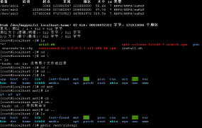 linux挂载移动硬盘