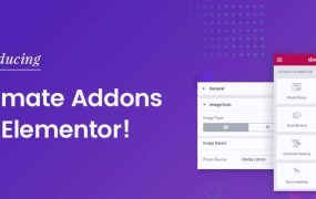解决Ultimate Addons for Elementor插件慢的问题
